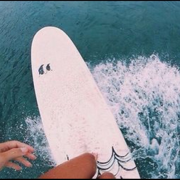 Meet your Posher, Isela - Picture 1 of 1